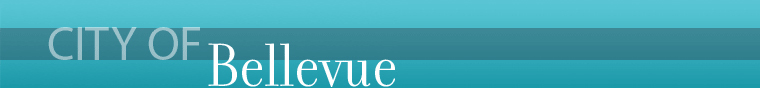 Citizen's Online Reporting System